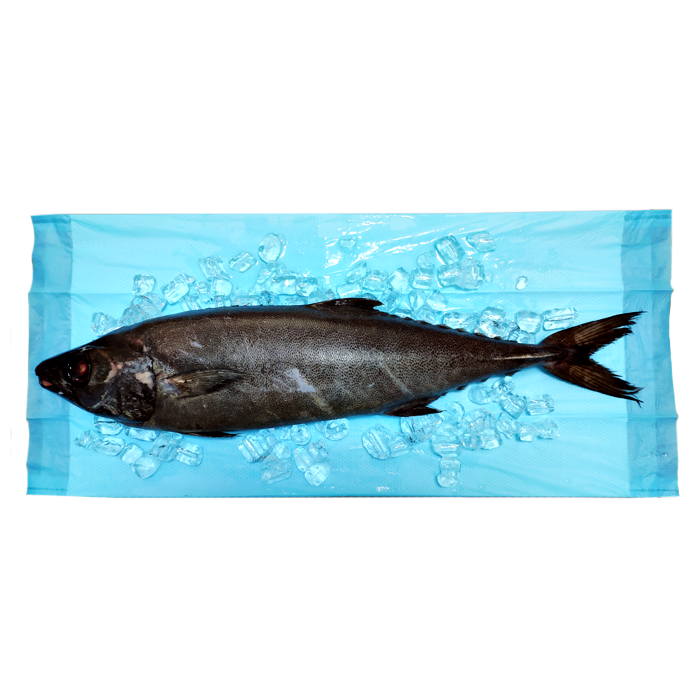 Seafood Saver: Revolutionize the Shelf Life of Your Products with Our Absorbent Pads